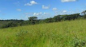 O crescimento depende de você.