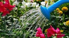 E o que regar também será regado