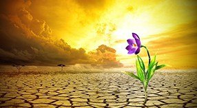 As impossibilidades nas mãos de Deus