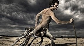 Raiz de Amargura! Um ladrão da alegria.