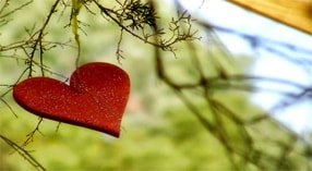 O engano do coração.