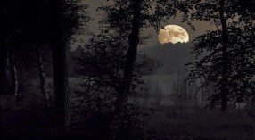 Uma arma chamada oração.