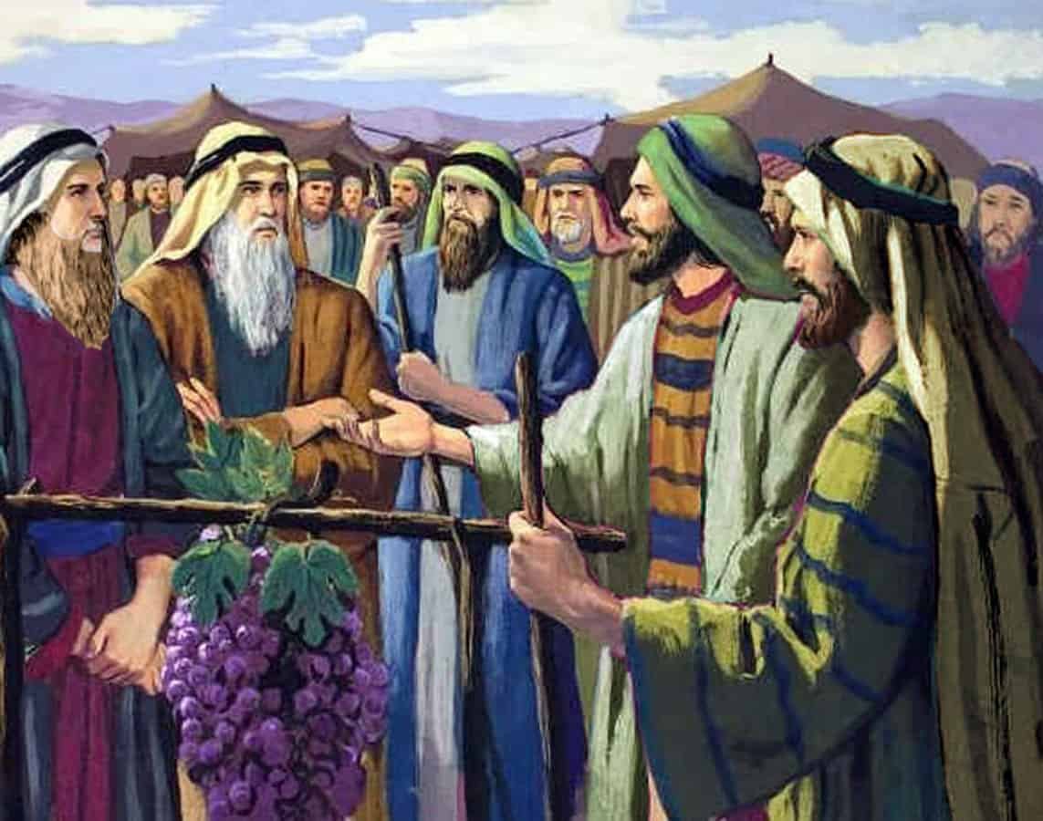 Fé e Incredulidade.