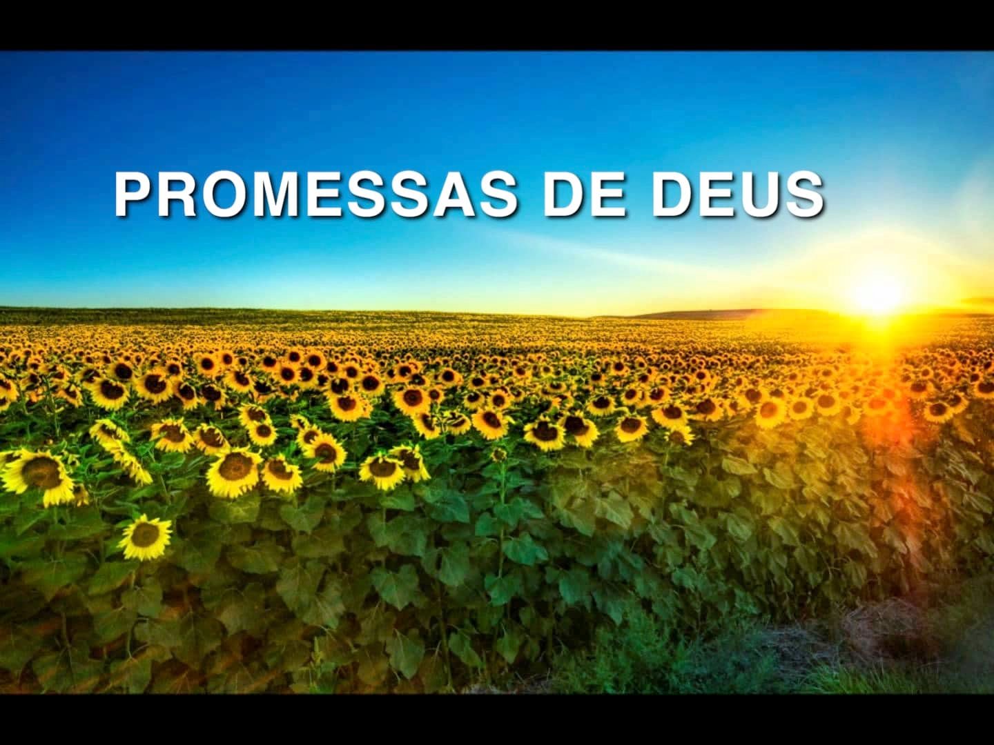 Cremos nas Promessas de Deus?