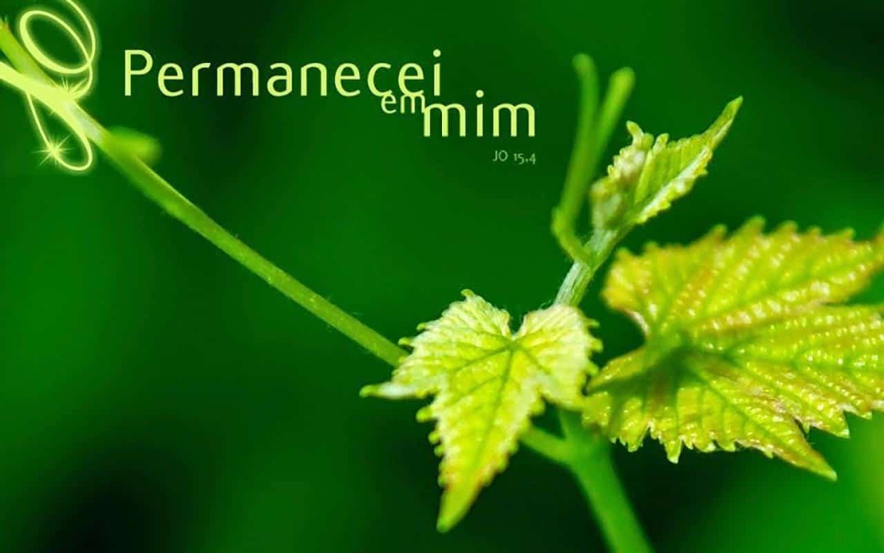 Uma Promessa Ousada.