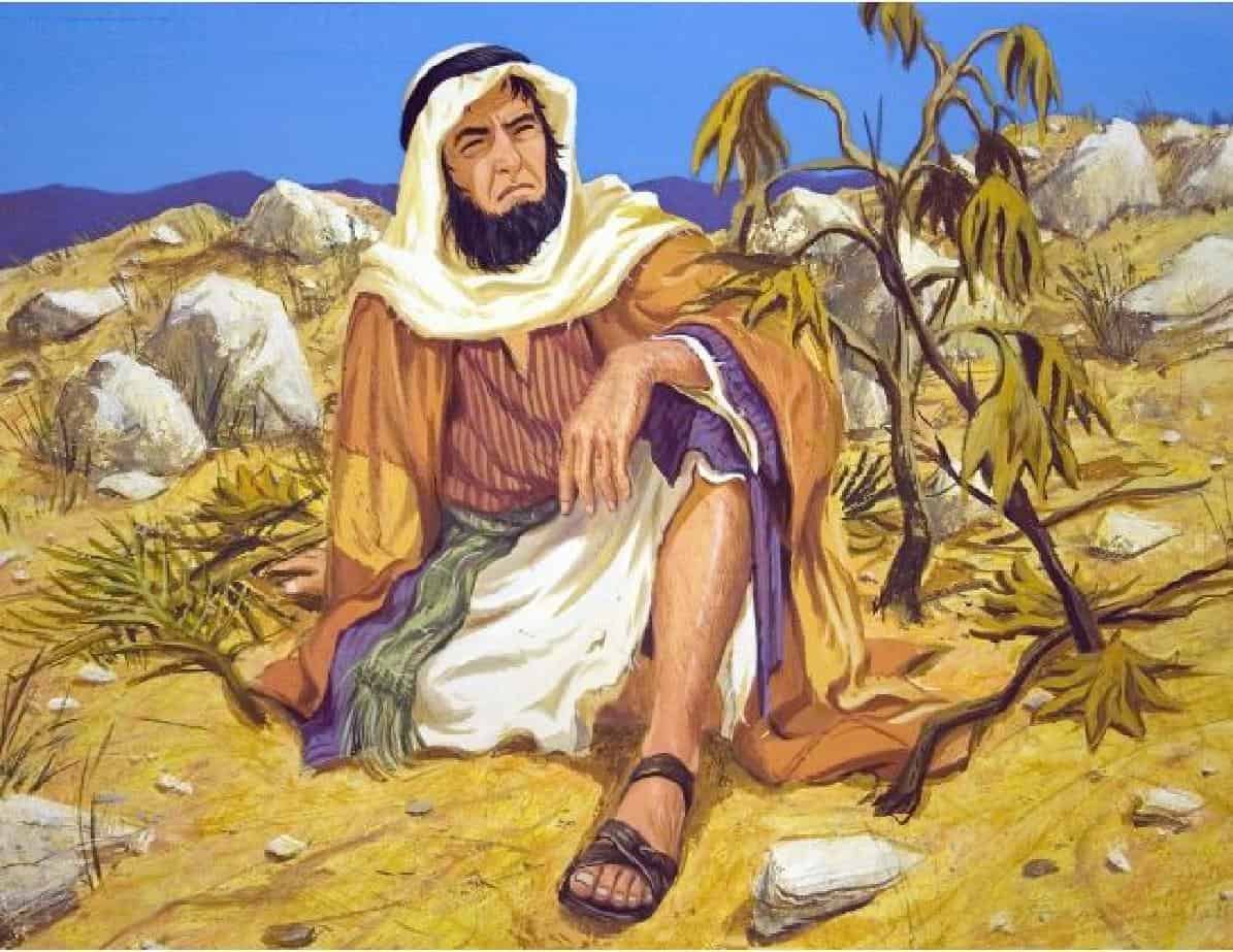 A vida é complicada?