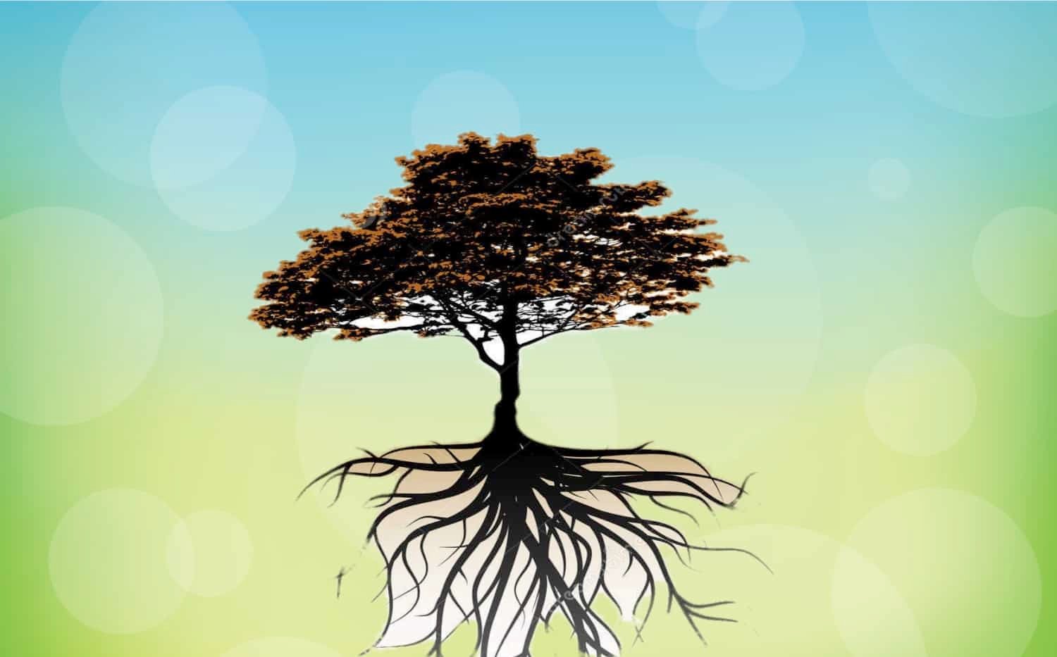 Um sentimento que contagia.