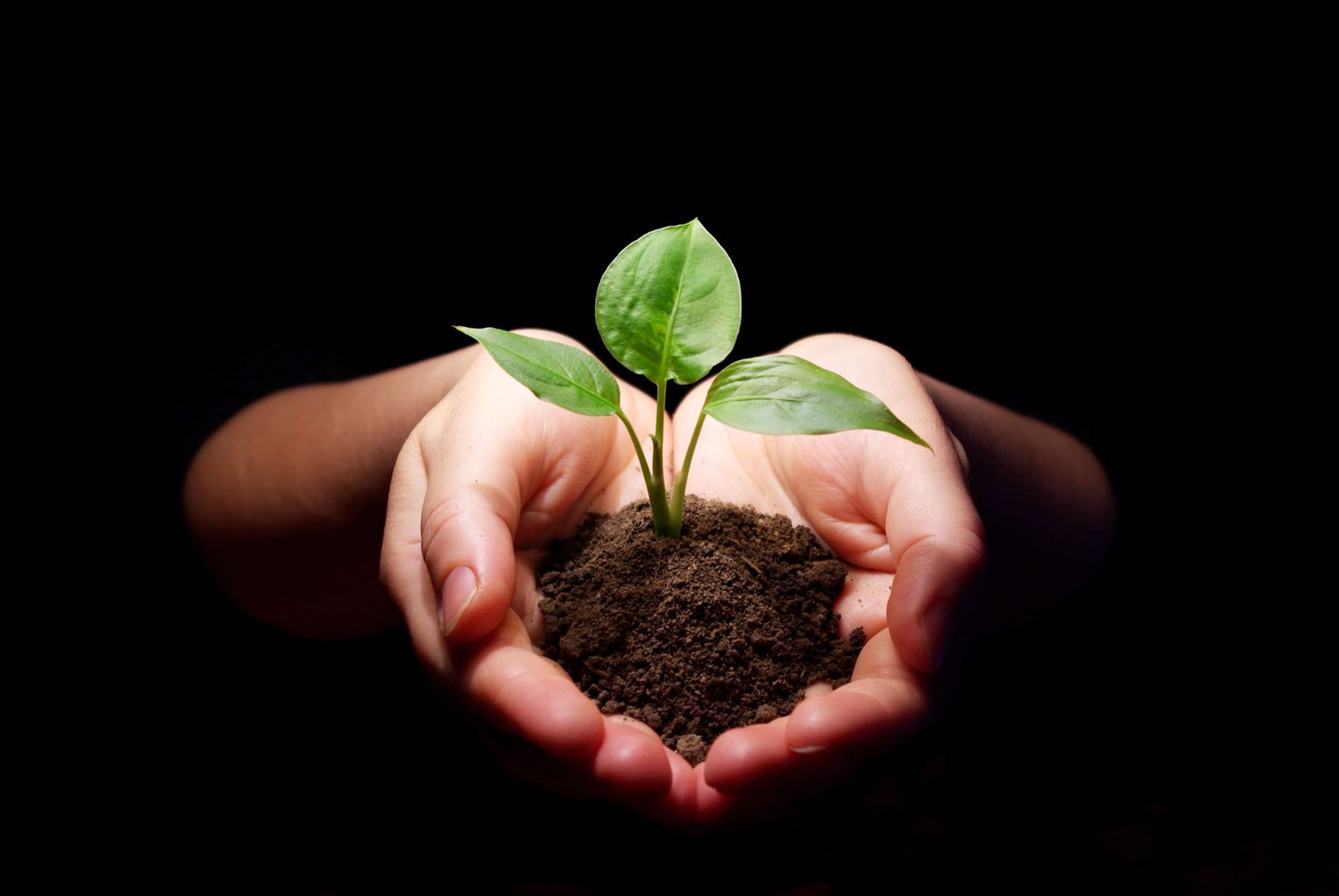 Ações e Resultados