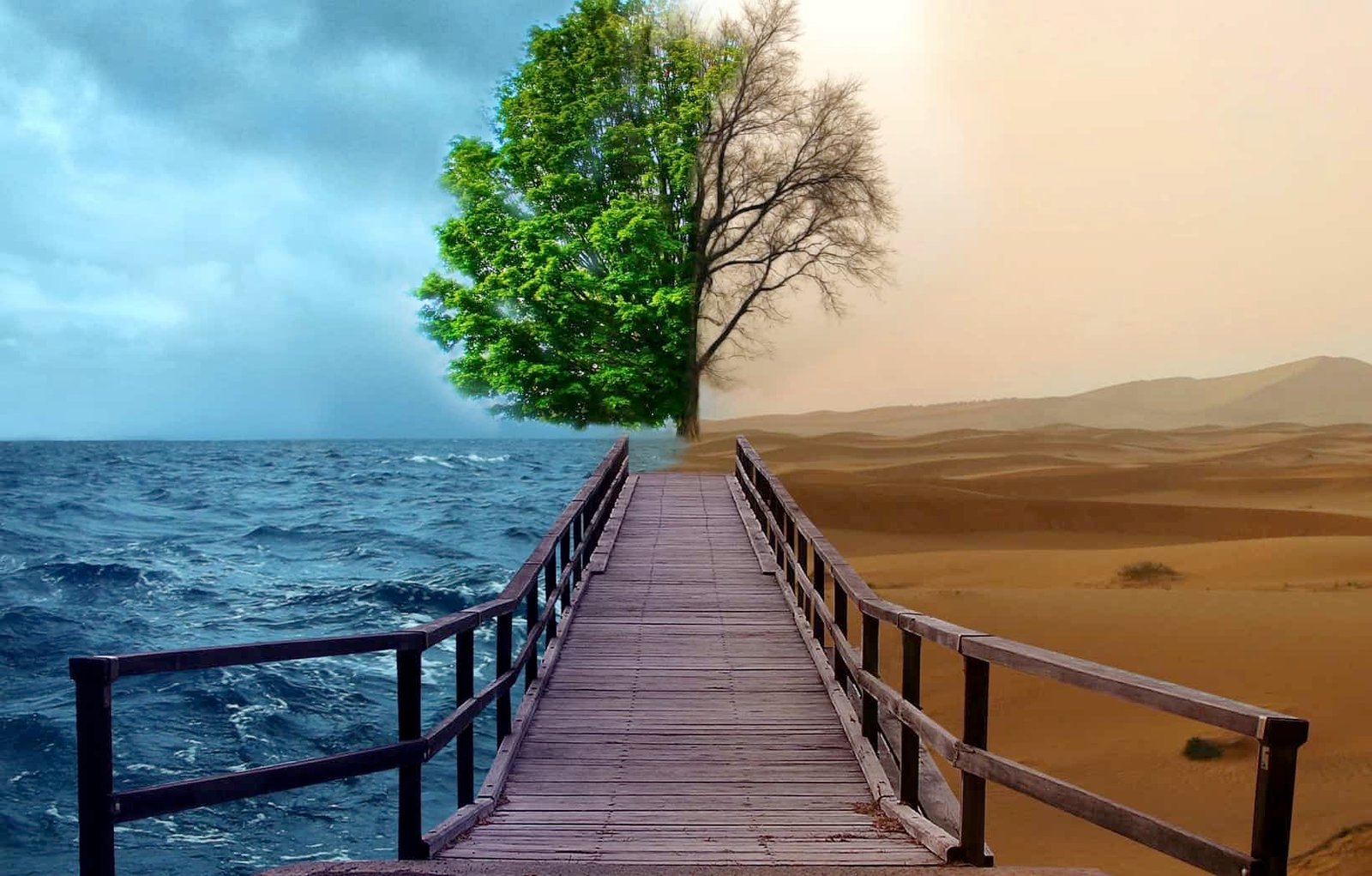 Um contraponto às tribulações