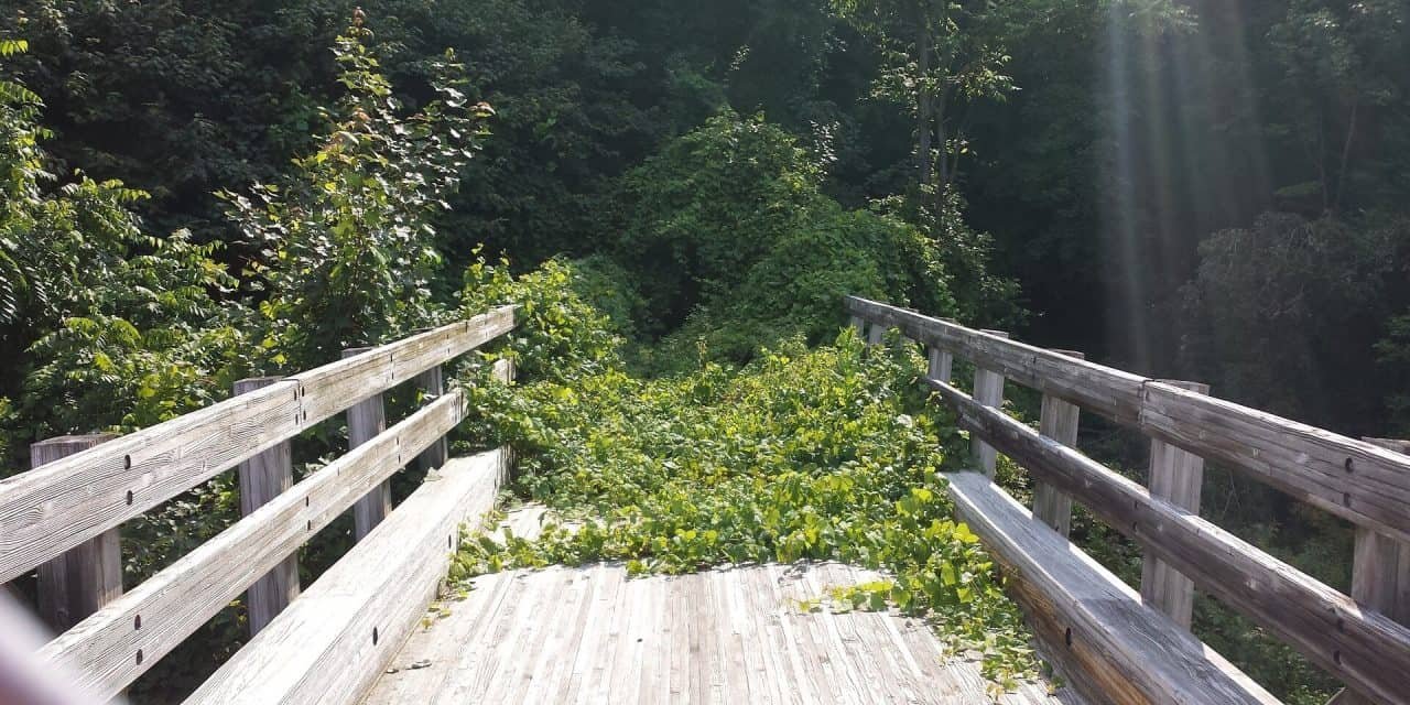 Beco sem Saída! Deixe Deus guiar você.