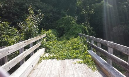 Beco sem Saída! Deixe Deus guiar você.