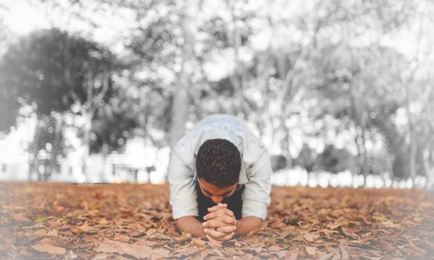 O Caminho Mais Excelente – Só pede quem não tem.