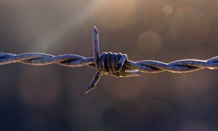 A Cerca – Grandes Obstáculos