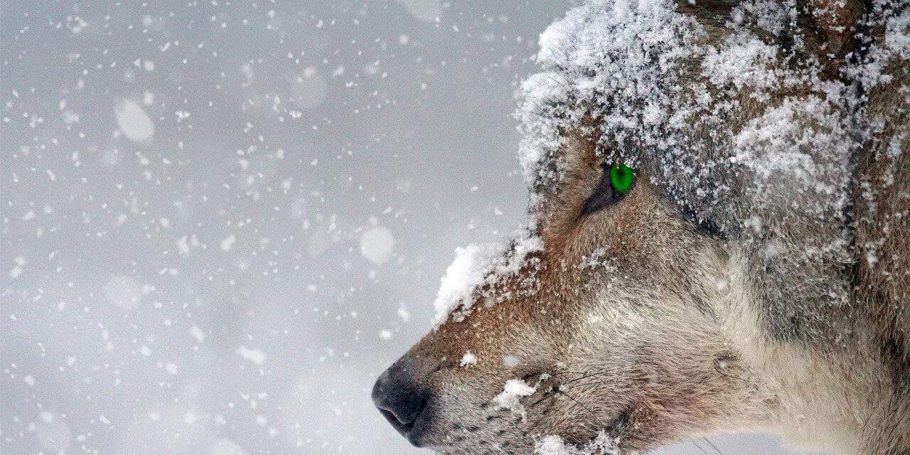 O Diabo é empreendedor – A estratégia do diabo