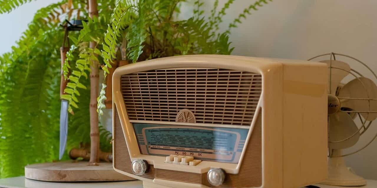 Os Evangelhos – Fique ligado!