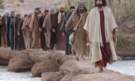 Vida além da vida – A provisão e o Propósito