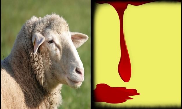 Nossa Vitória – O Guerreiro que Se sacrifica