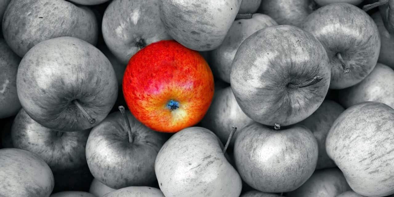 A importância da mensagem