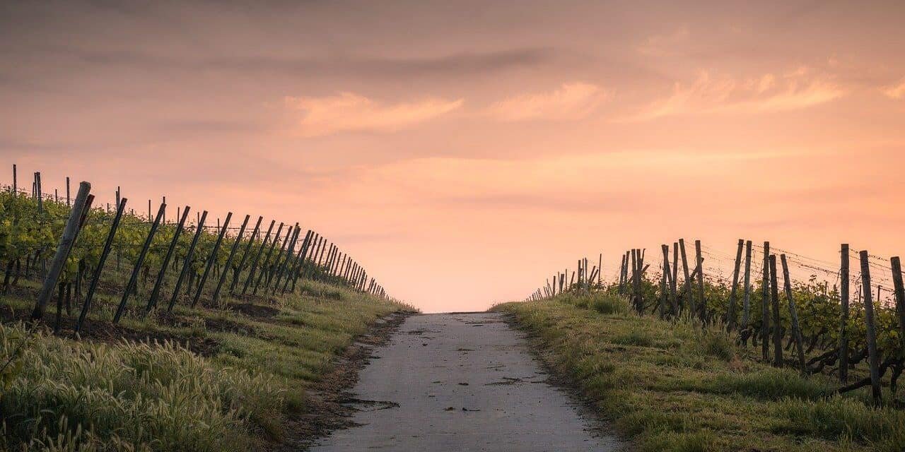 Crendo na Palavra de Deus