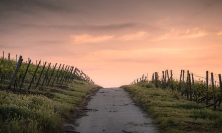 Crendo na Palavra de Deus