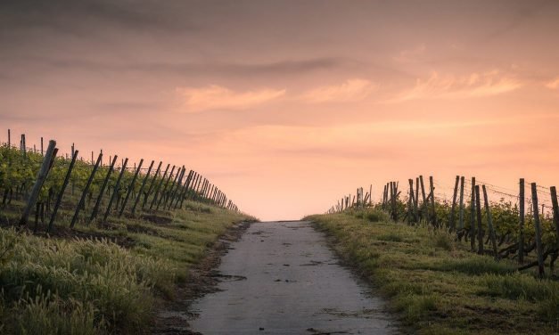 Crendo na Palavra de Deus