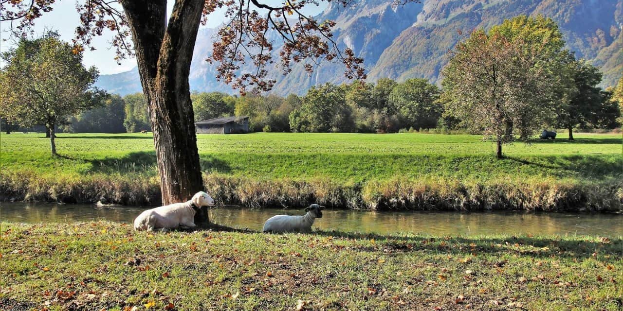 Procure o descanso de Deus