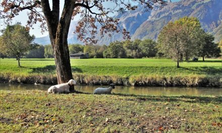 Procure o descanso de Deus